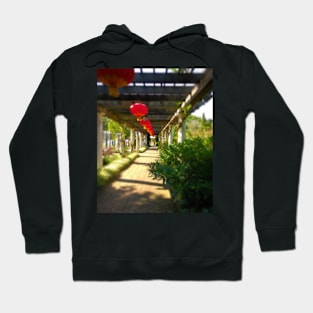 Zen Morning Hoodie